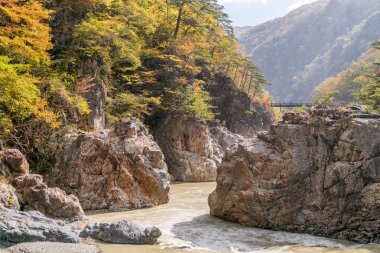 Nikko Tochigi Japonya 'daki Ryuyo Gorge Kanyonu Ulusal Parkı ve dinlenme alanı 
