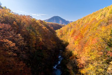 Nakatsugawa gorge Fukushima, Bridge sonbaharda Sonbahar Japonya