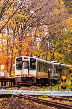 Beyaz tren banliyö Fukushima Japonya ile sonbahar sonbahar yaprakları