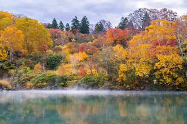 Sonbahar orman onsen gölde Jigoku Numa, Hakkoda Aomori Tohoku Japonya