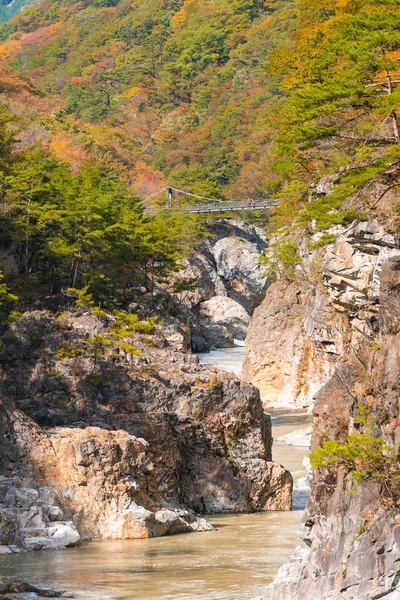 Ryuyo Gorge Canyon Parco Nazionale Area Ricreativa Nikko Tochigi Giappone — Foto Stock