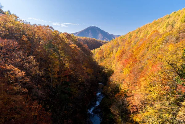 Ущелье Накацугава Моста Фукусиме Осенью Япония — стоковое фото
