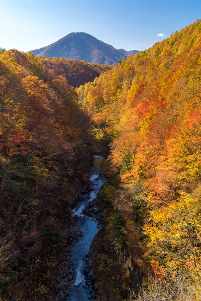 Nakatsugawa Gorge Fukushima Bridge Sonbaharda Sonbahar Japonya — Stok fotoğraf