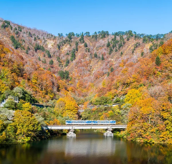 Sonbahar Sonbahar Yaprakları Koyo Tagokura Barajı Tadami City Fukushima Japonya — Stok fotoğraf