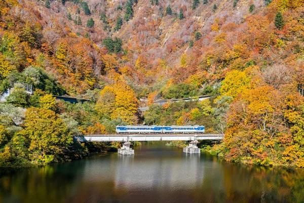 Осенняя Осенняя Листва Koyo Тагокура Плотина Тадами Города Фукусима Япония — стоковое фото