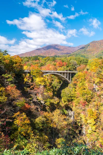 Miyagi Tohoku Japonya Sında Demiryolu Tüneli Olan Naruko Gorge Vadisi — Stok fotoğraf