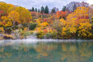 Sonbahar orman onsen gölde Jigoku Numa, Hakkoda Aomori Tohoku Japonya
