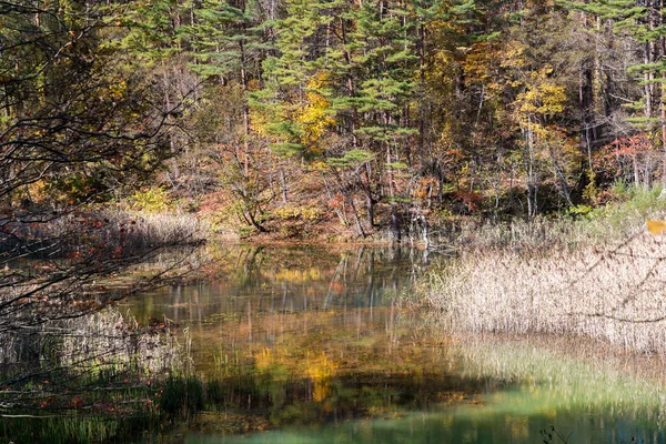 Goshiki Numa Five Colour Pond Autumn Urabandai Fukushima Japan — Stock Photo, Image