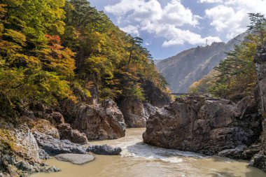 Nikko Tochigi Japonya 'daki Ryuyo Gorge Kanyonu Ulusal Parkı ve dinlenme alanı 