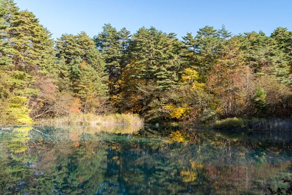 Goshiki Numa Five Colour Pond Autumn Urabandai Fukushima Japan — Stock Photo, Image