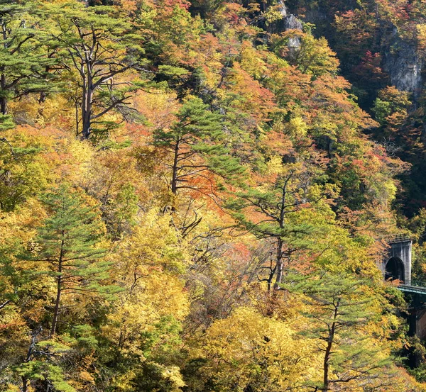 Valle Naruko Gorge Con Tunnel Ferroviario Miyagi Tohoku Giappone — Foto Stock