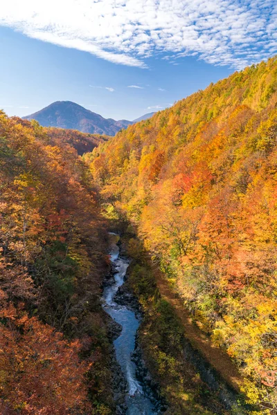 Nakatsugawa Gorge Fukushima Bridge Sonbaharda Sonbahar Japonya — Stok fotoğraf