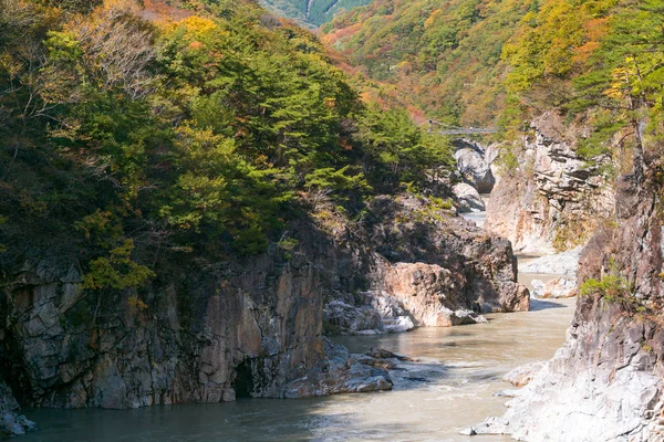 Национальный Парк Зона Отдыха Ущелья Рюё Никко Тотиги Япония — стоковое фото