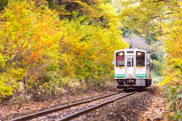 福島の白い電車通勤と秋紅葉 — ストック写真