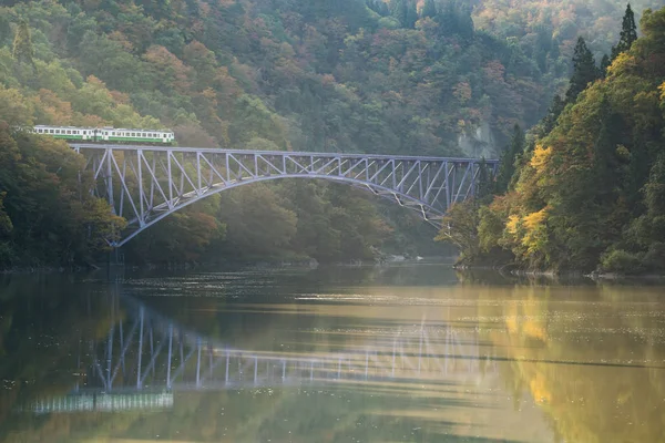 Sonbahar Sonbahar Yaprakları Fukushima Ilk Köprü View Point Daiichi Kyouryou — Stok fotoğraf