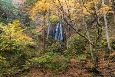 Fukushima, sonbahar sonbahar sezonu Tatsuzawafudo şelale
