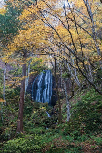 Водопад Тацудзавафудо Осенью Осенью Фукусиме — стоковое фото
