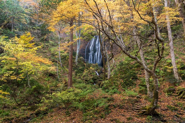 Cachoeira Tatsuzawafudo Outono Temporada Outono Fukushima — Fotografia de Stock