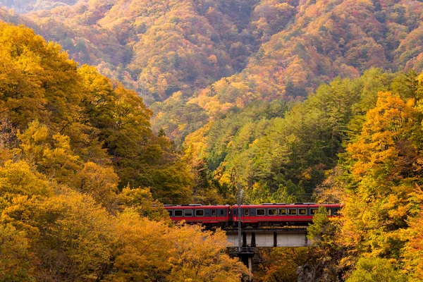 Feuillage Automnal Avec Train Rouge Banlieue Fukushima Japon — Photo