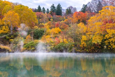 Sonbahar orman onsen gölde Jigoku Numa, Hakkoda Aomori Tohoku Japonya