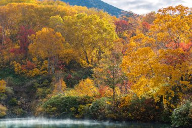 Autumn Forest onsen lake at Jigoku Numa, Hakkoda Aomori Tohoku Japan clipart