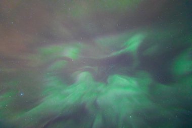 Kuzey ışık Aurora borealis Keflavik Reykjavik alanda İzlanda