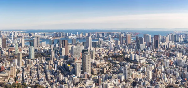 Tokio Skyline Budynków Tokio Japonia Panorama — Zdjęcie stockowe