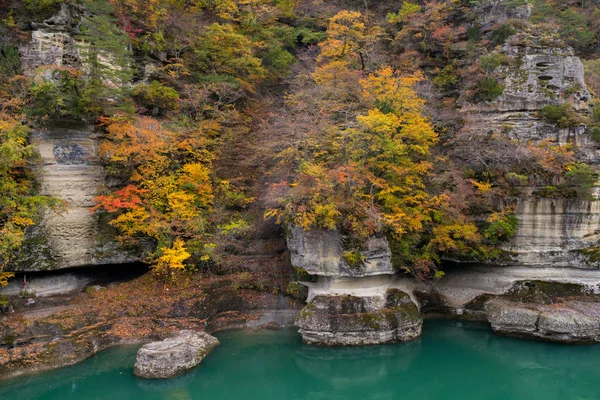 Para Nenhum Rio Hetsuri Cliff Desfiladeiro Fukushima Japão — Fotografia de Stock