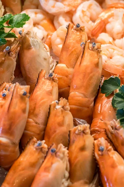 Freshly Cooked Prawns Shrimp Ice — Stock Photo, Image