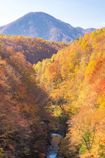 Nakatsugawa Gorge Fukushima Bridge Sonbaharda Sonbahar Japonya — Stok fotoğraf