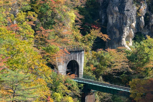 Tren Demiryolu Tüneli Miyagi Tohoku Japonya Değil Gorge Vadisi — Stok fotoğraf