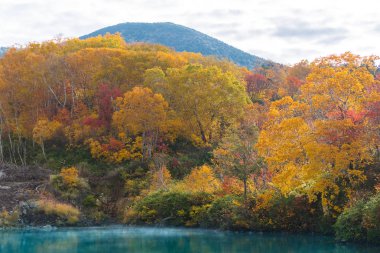 Sonbahar orman onsen gölde Jigoku Numa, Hakkoda Aomori Tohoku Japonya