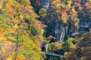 Tren demiryolu tüneli Miyagi Tohoku Japonya'da değil Gorge Vadisi 
