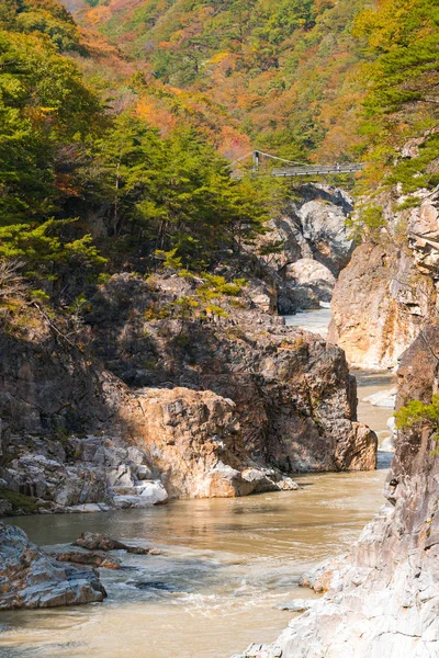 Ryuyo Gorge Cañón Parque Nacional Área Recreación Nikko Tochigi Japón —  Fotos de Stock