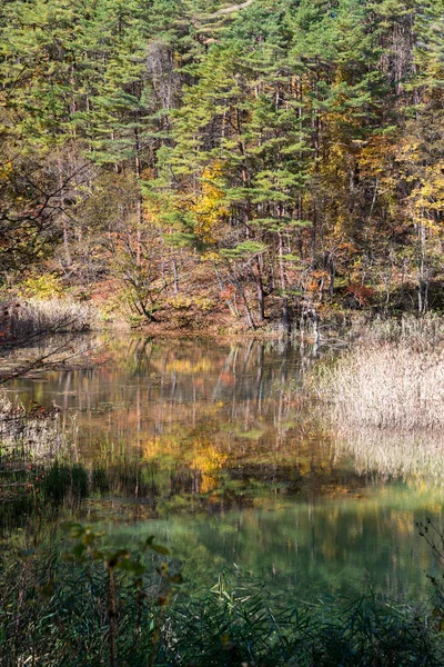 Panorama Goshiki Numa Fem Färg Dammen Höst Urabandai Fukushima Japan — Stockfoto