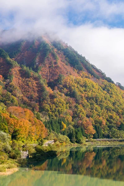 日本福岛只见地区秋季落叶植物区苑 — 图库照片