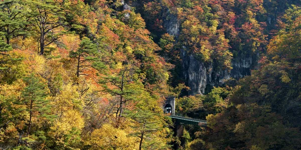 Tren Demiryolu Tüneli Miyagi Tohoku Japonya Değil Gorge Vadisi — Stok fotoğraf
