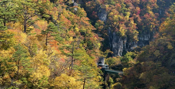 Tren Demiryolu Tüneli Miyagi Tohoku Japonya Değil Gorge Vadisi — Stok fotoğraf
