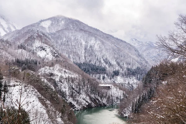 Trein Winter Landschap Van Sneeuw Brug — Stockfoto