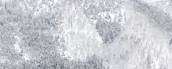 湯田中 長野中部で松林の冬の風景 — ストック写真
