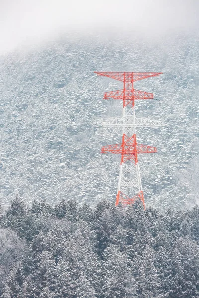 松林風景長野中部日本の冬に電柱電源投稿します — ストック写真