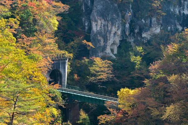 Narugo Gorge Vallei Met Trein Spoorweg Tunnel Miyagi Tohoku Japan — Stockfoto
