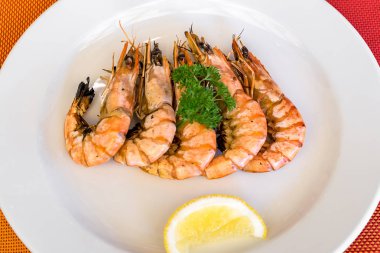 Izgara karides Barbekü, portre