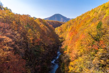 Nakatsugawa gorge Fukushima, Bridge sonbaharda Sonbahar Japonya