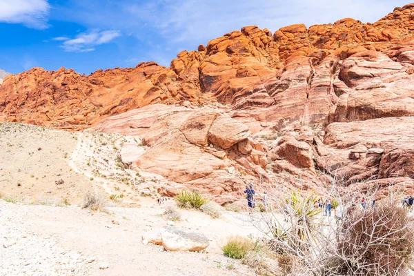 Red Rock Canyon National Connection Area Las Vegas Nevada Usa — стоковое фото