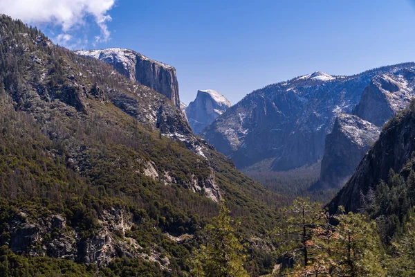 Parc National Yosemite Californie San Francisco Usa — Photo