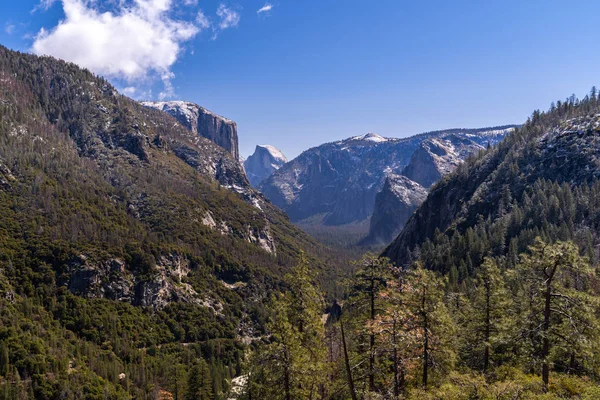 Parc National Yosemite Californie San Francisco Usa — Photo