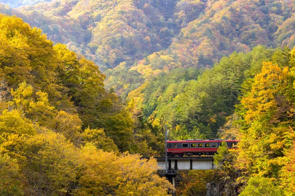 Feuillage Automnal Avec Train Rouge Banlieue Fukushima Japon — Photo