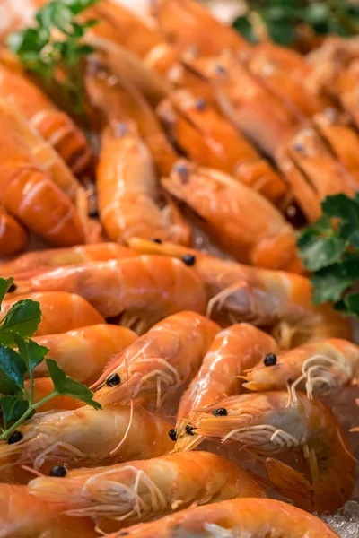 Freshly Cooked Prawns Shrimps Ice — Stock Photo, Image