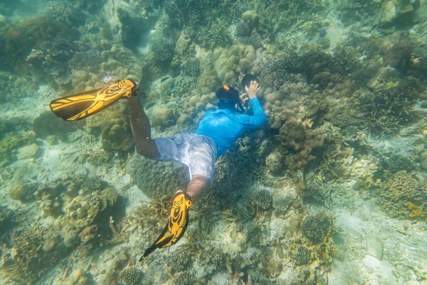 Buceador Buceo Hacer Buceo Libre Arrecife Tropical Con Fondo Azul — Foto de Stock